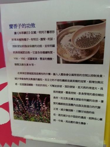 茯神的作用与功效(茯神的神奇功效)