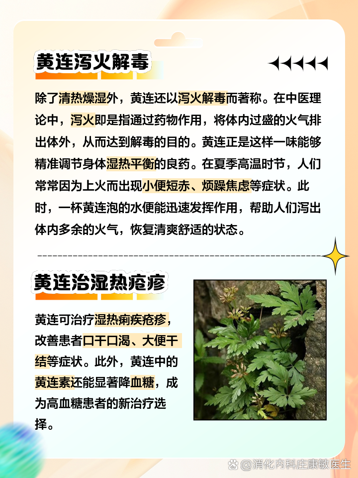 伸筋草的药用功效与主治(伸筋草药用功效主治)