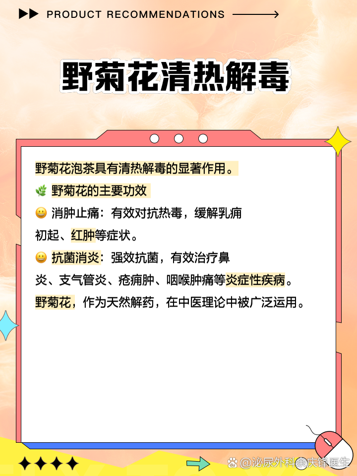 紫草的功效与作用(紫草的药用价值与应用。)