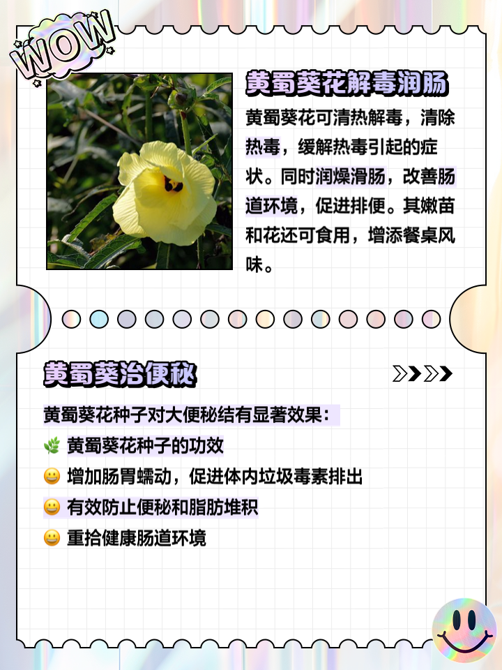 芦根的功效与作用(芦根：清热解渴，利尿排脓。)